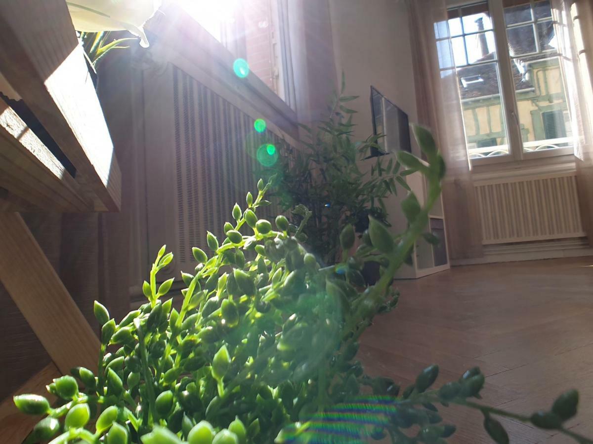 Au 36, Les Apartment *